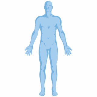 320x320 Body Outline Png, Backgrounds And Vectors Free Download