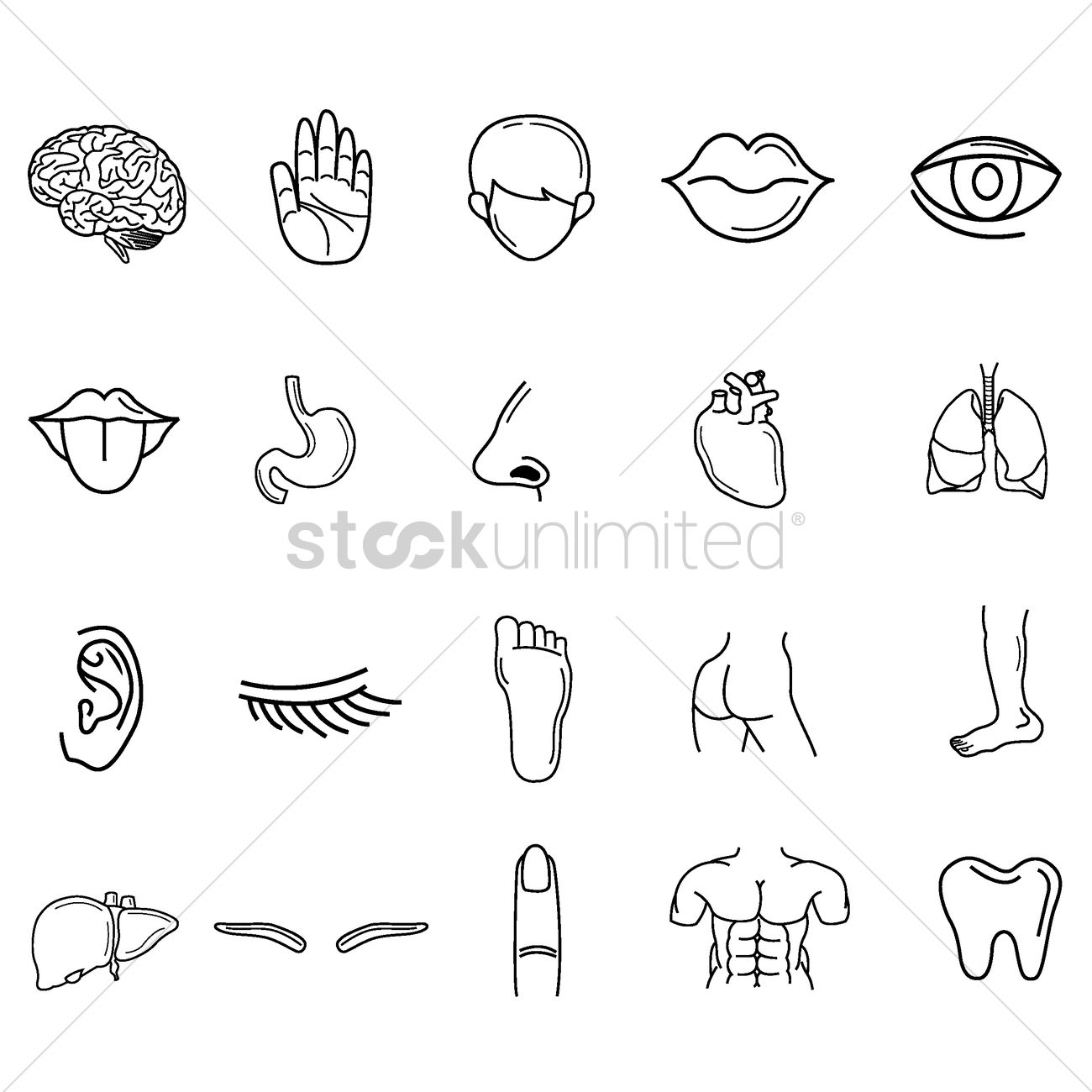1300x1300 Collection Of Human Body Parts Vector Image