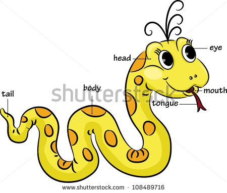 450x382 Funny Cartoon Snake Vocabulary Of Body Parts Vector Illustration