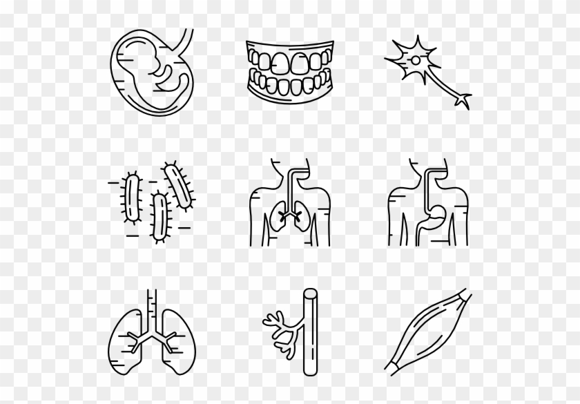 840x585 Human Body Parts