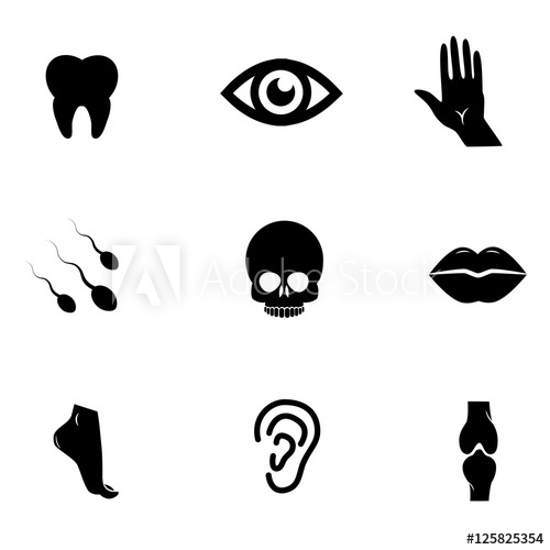 500x500 Human Body Parts Vector Icon