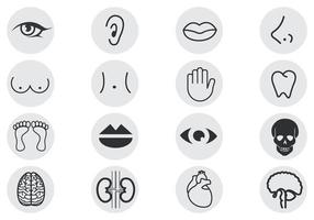 286x200 Body Parts Free Vector Art