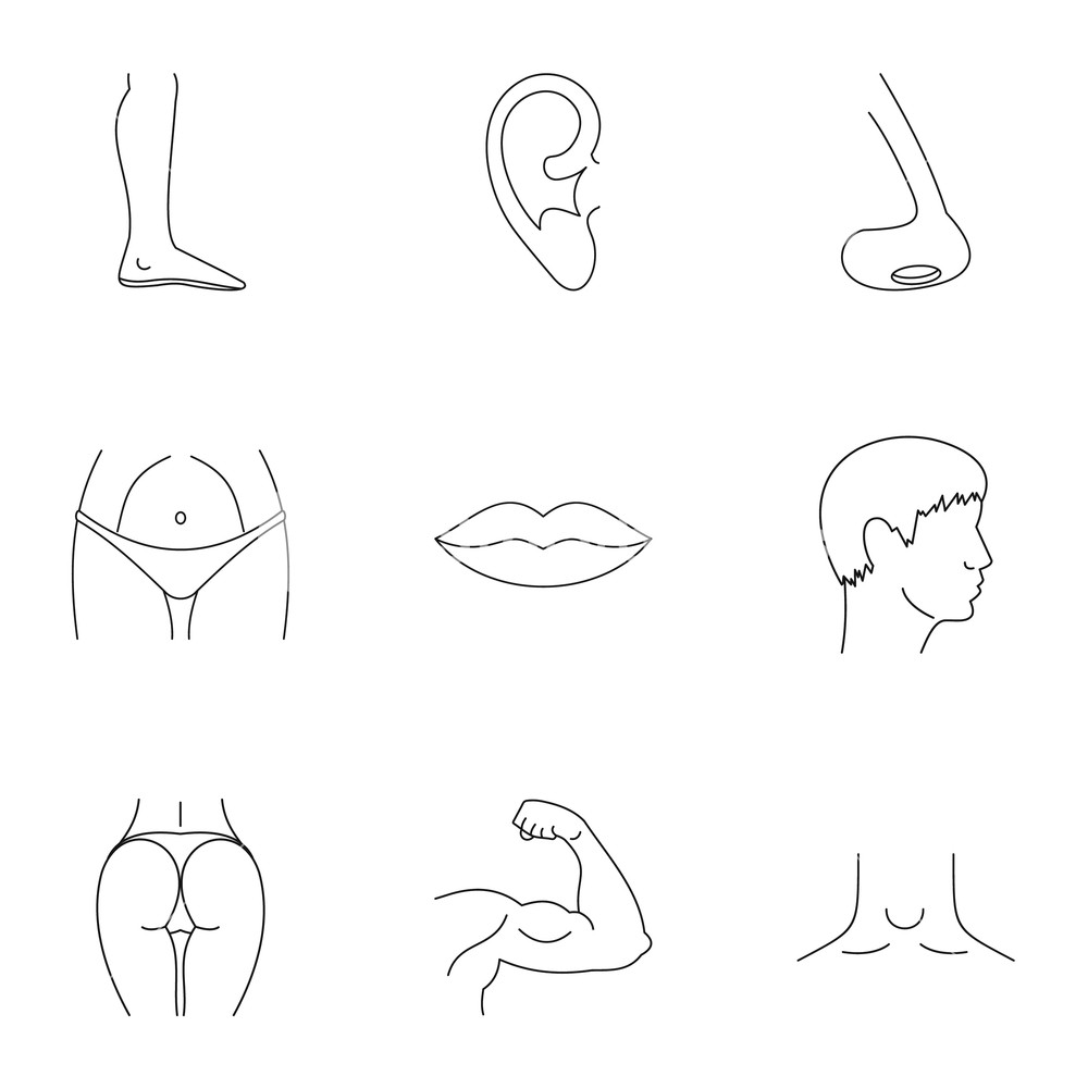 1000x1000 Body Parts Icons Set Outline Illustration Of Body Parts Vector