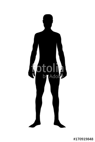 334x500 Human Body, Silhouette Body Of Healthy Man Stock Image