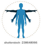 Human Body Silhouette Vector 150x160 Human Body Silhouette Vector