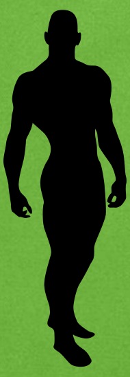 Man Body Silhouette Vector Design Tote Bag Spreadshirt 190x548 Man Body Silhouette Vector Design Tote Bag Spreadshirt