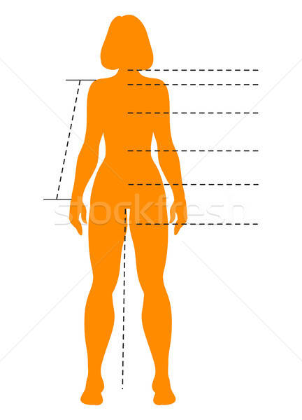 Woman Body Silhouette With Pointers For Medical, Sport, Fashion 432x600 Woman Body Silhouette With Pointers For Medical, Sport, Fashion