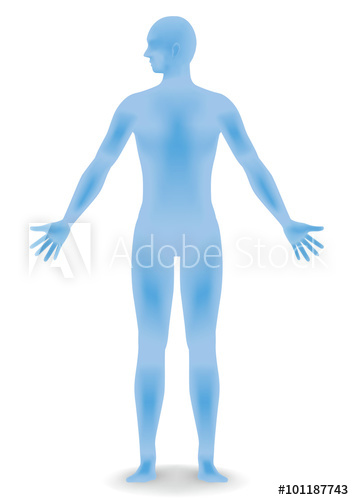 Human Body Silhouette, Face As Seen From The Side, Vector 354x500 Human Body Silhouette, Face As Seen From The Side, Vector