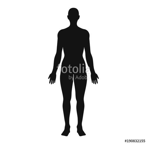 Anatomical Position Anterior View Female Body Silhouette Vector 500x489 Anatomical Position Anterior View Female Body Silhouette Vector