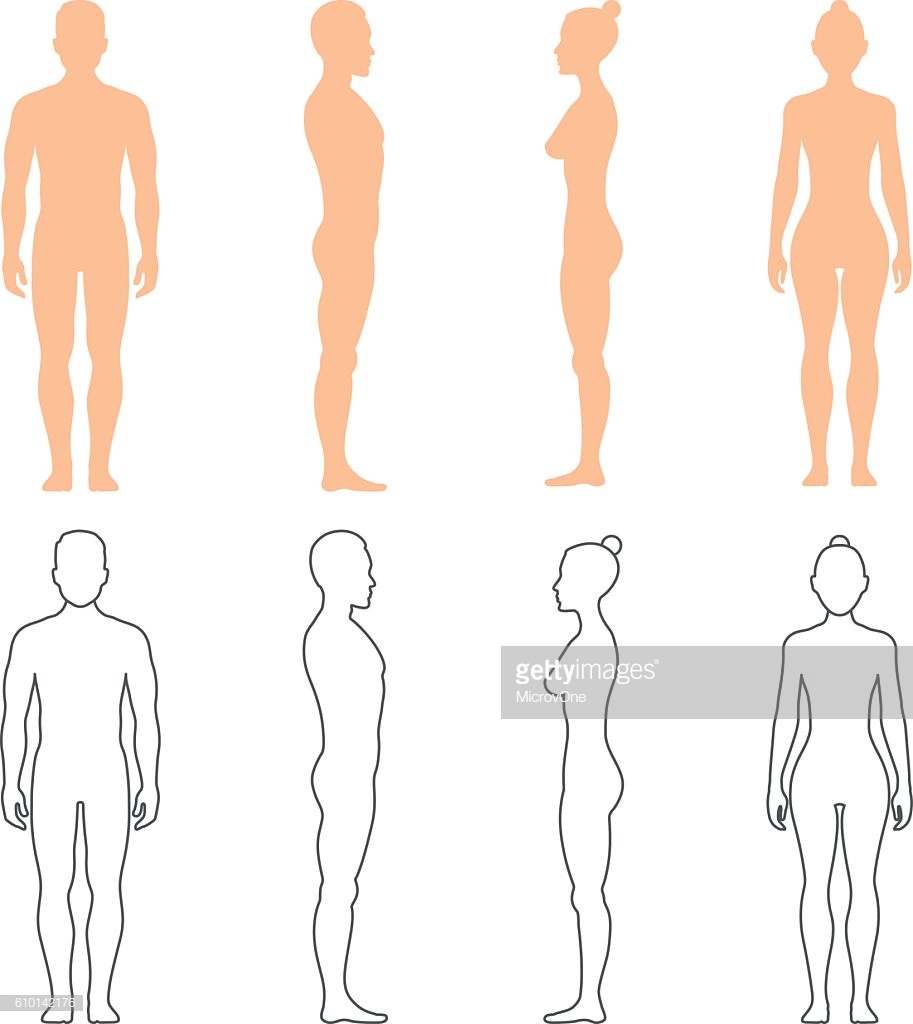 Collection Of 'human Body Silhouette Vector' Download More Than 913x1024 Collection Of 'human Body Silhouette Vector' Download More Than