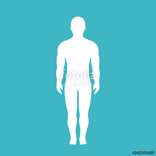 Human Body Vector Silhouette Stock Image And Royalty Free Vector 500x500 Human Body Vector Silhouette Stock Image And Royalty Free Vector