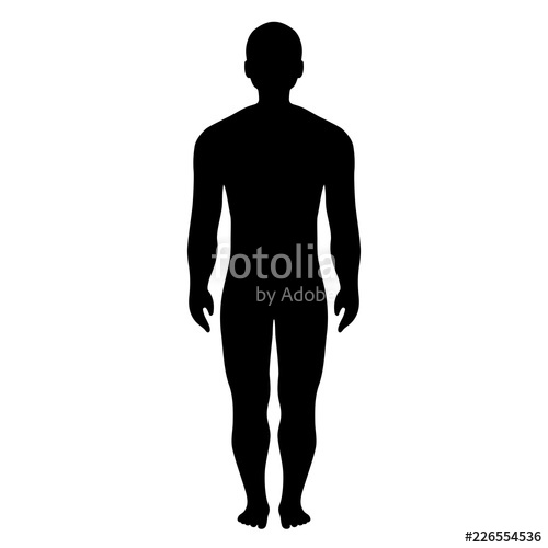 Body Vector at Vectorified.com | Collection of Body Vector free for ...