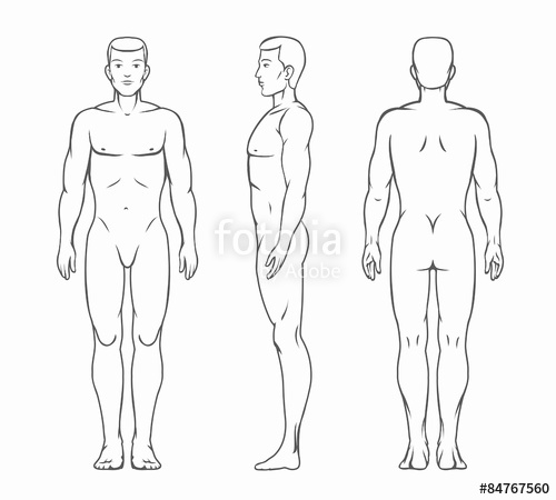 Male Body Vector Illustration Stock Image And Royalty Free Vector 500x450 Male Body Vector Illustration Stock Image And Royalty Free Vector