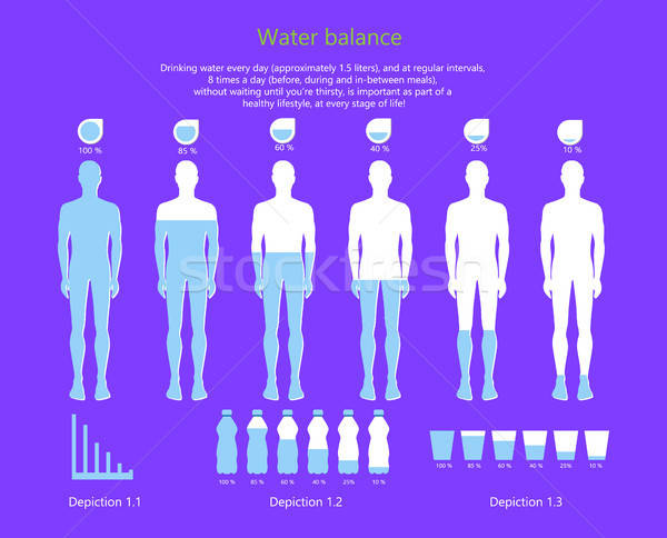 Water Balance In Human Body Vector Illustration Vector 600x484 Water Balance In Human Body Vector Illustration Vector