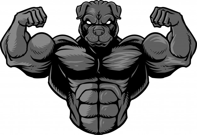 626x429 Bodybuilder Logo Vector Free Download