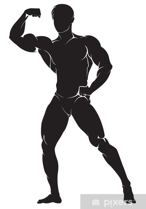 489x700 Bodybuilder Vector Silhouette Against White Background Wall Mural