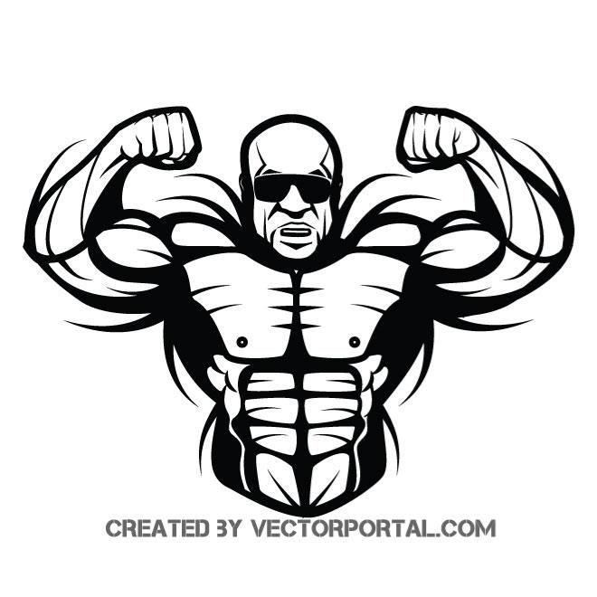 660x660 Muscular Bodybuilder Vector Image Sports Free Vectors Free