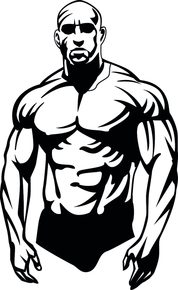 577x936 Bodybuilder Vector Freevectors