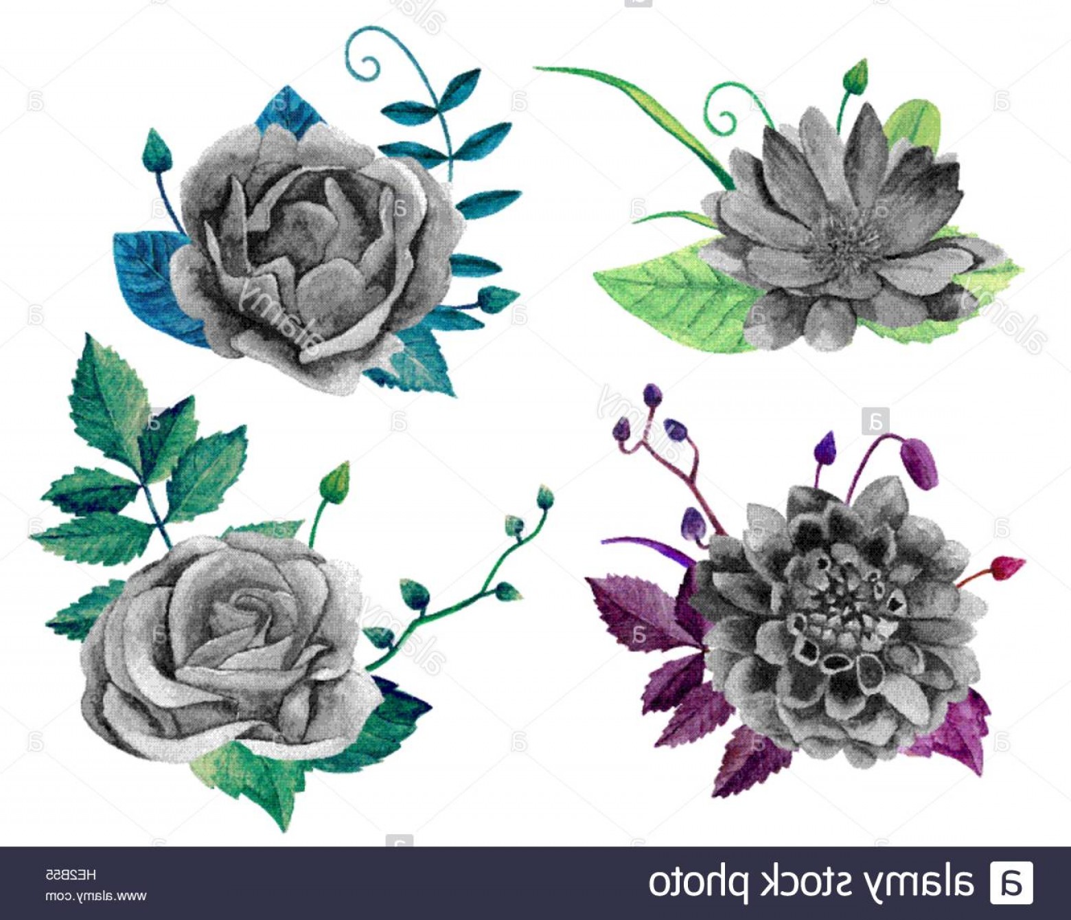 1560x1339 Watercolor Vector Boho Hoodamathrun