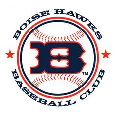 Boise State Logo Vector