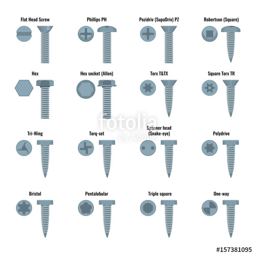 500x500 Screw And Bolt Heads Set With Text Names Vector Illustration