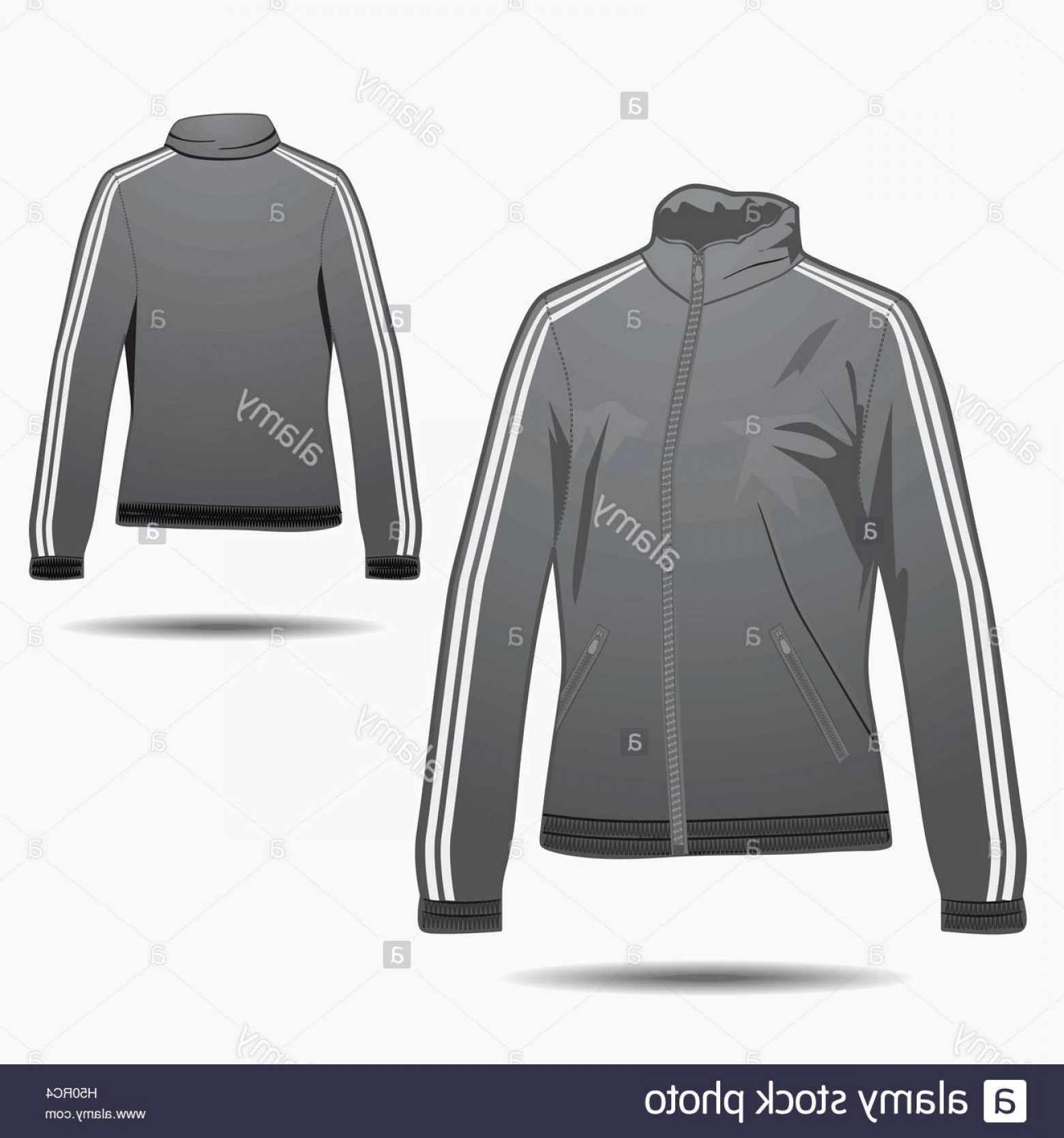 Winter Jacket Vector Template Hoodamath 1560x1668 Winter Jacket Vector Template Hoodamath