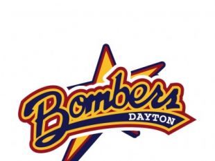 310x233 Bomber Vector Free Vectors Ui Download