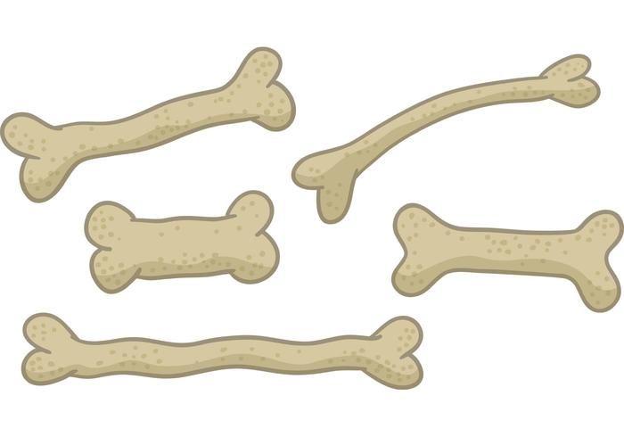 Dog Bone Vectors 700x490 Dog Bone Vectors
