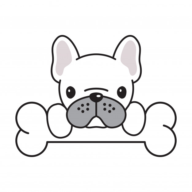 Dog Vector French Bulldog Bone Cartoon Vector Premium Download 626x626 Dog Vector French Bulldog Bone Cartoon Vector Premium Download
