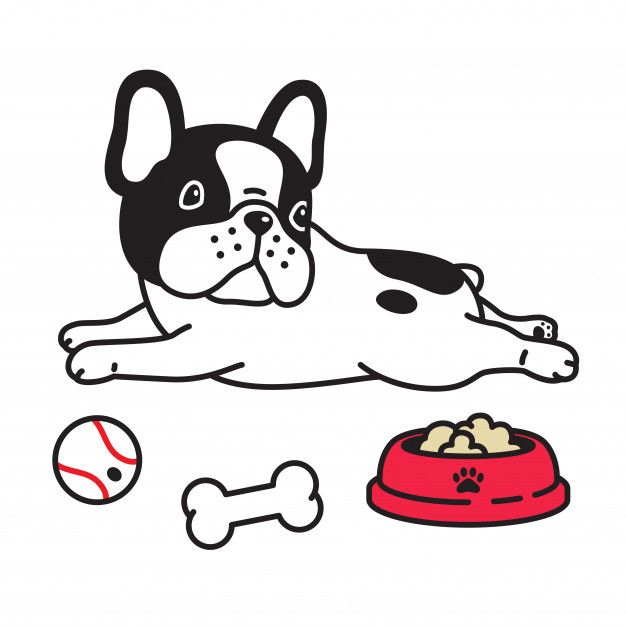 Dog Vector French Bulldog Puppy Food Bowl Ball Bone Cartoon 626x626 Dog Vector French Bulldog Puppy Food Bowl Ball Bone Cartoon
