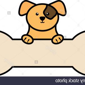 Cute Little Dog Pet With Bone Vector Illustration Design Image 300x300 Cute Little Dog Pet With Bone Vector Illustration Design Image