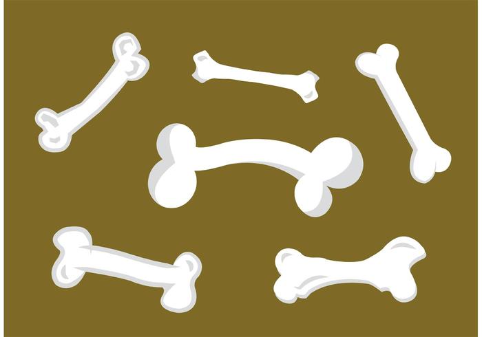Bone Vector