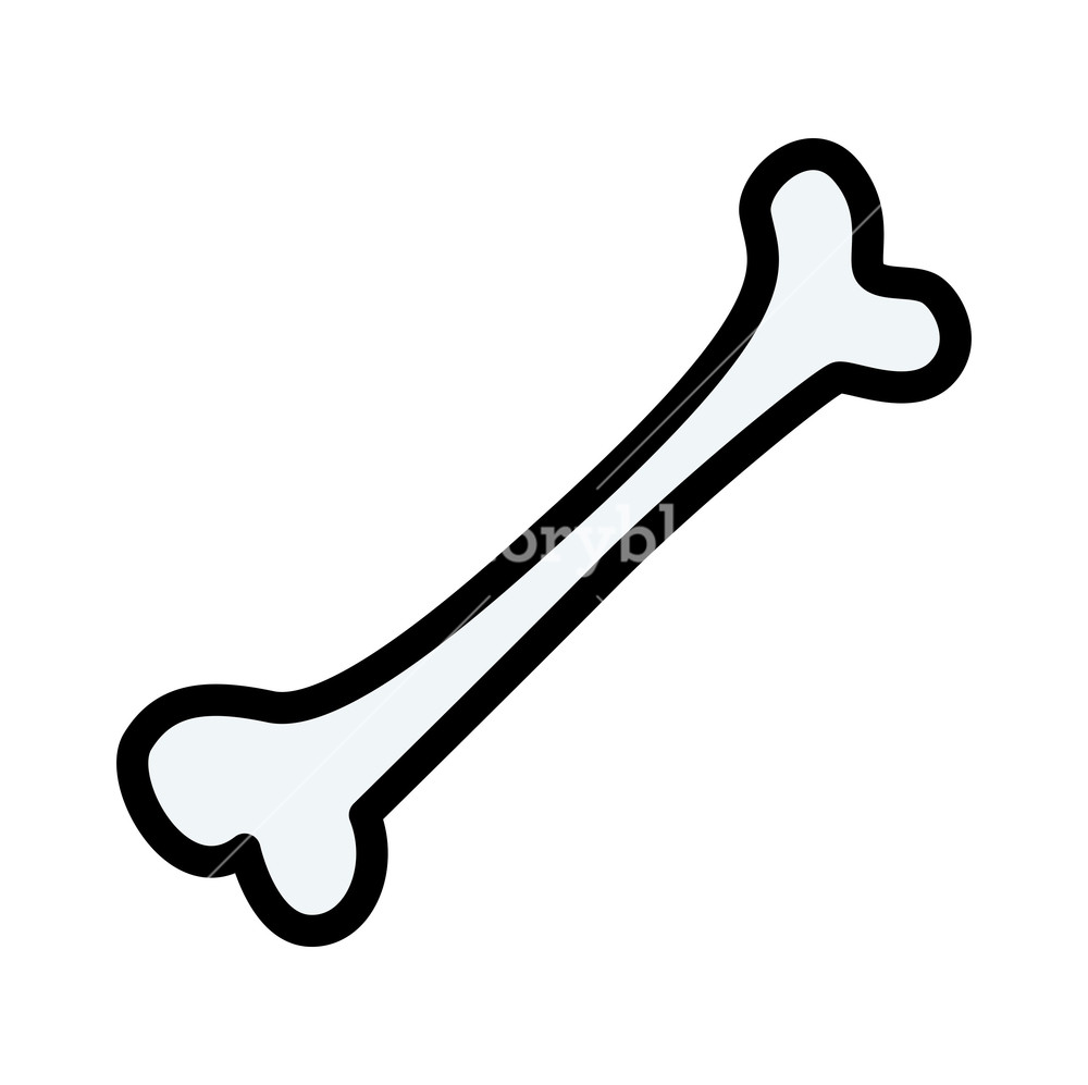 Cartoon Bone 1000x997 Cartoon Bone