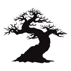 Bonsai Tree Silhouette Vector at Vectorified.com | Collection of Bonsai ...