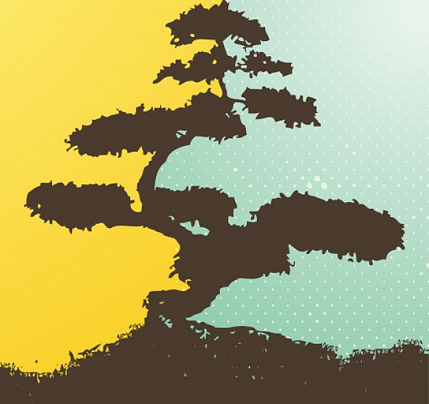 626x590 Bonsai Tree Vector Free Download
