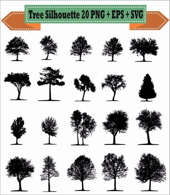 570x653 Tree Desert Pack Drawing Bonsai Plants Deciduous Life Etsy