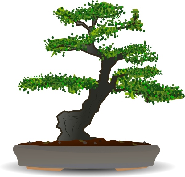 600x573 Bonsai Free Vector In Open Office Drawing