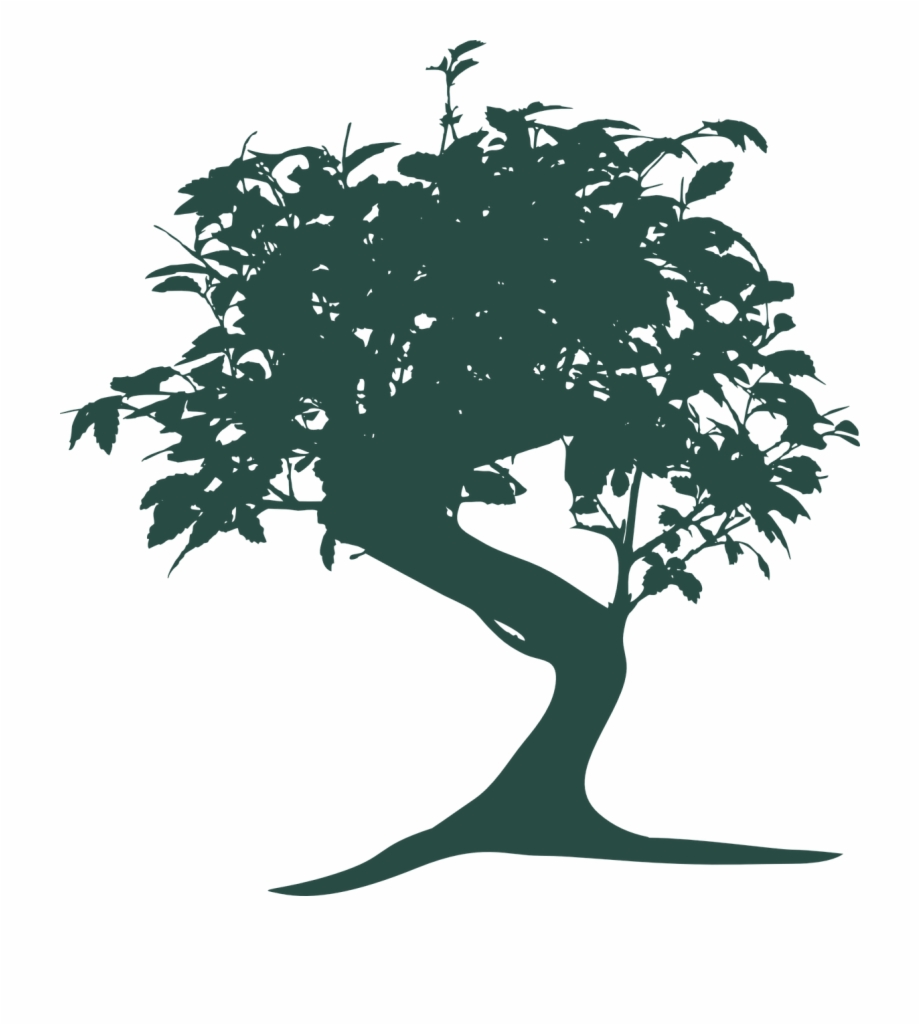 920x1025 Bonsai Tree Nature Oriental Png Image