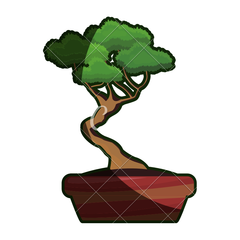 Bonsai Tree Vector at Collection of Bonsai Tree