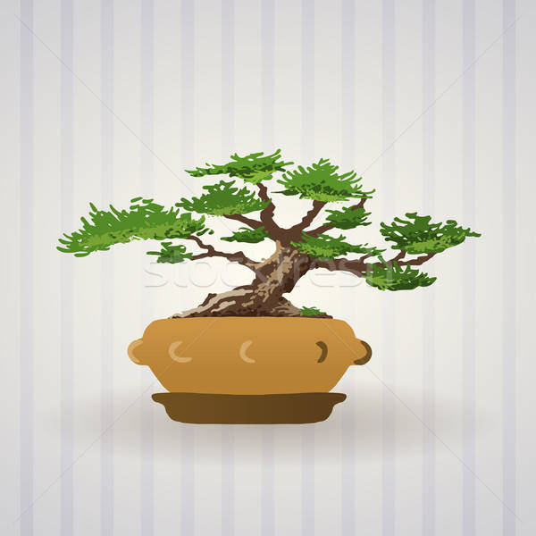 600x600 Bonsai Tree Vector Art Vector Illustration Vitezslav Valka