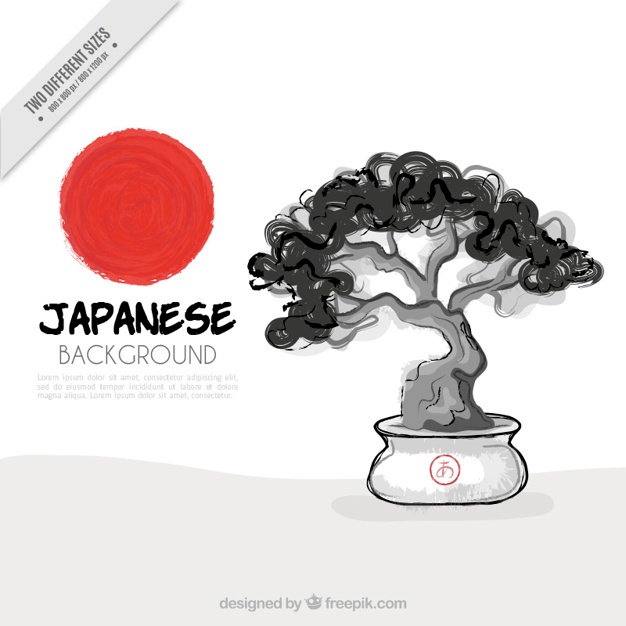 626x626 Bonsai Vectors, Photos And Free Download