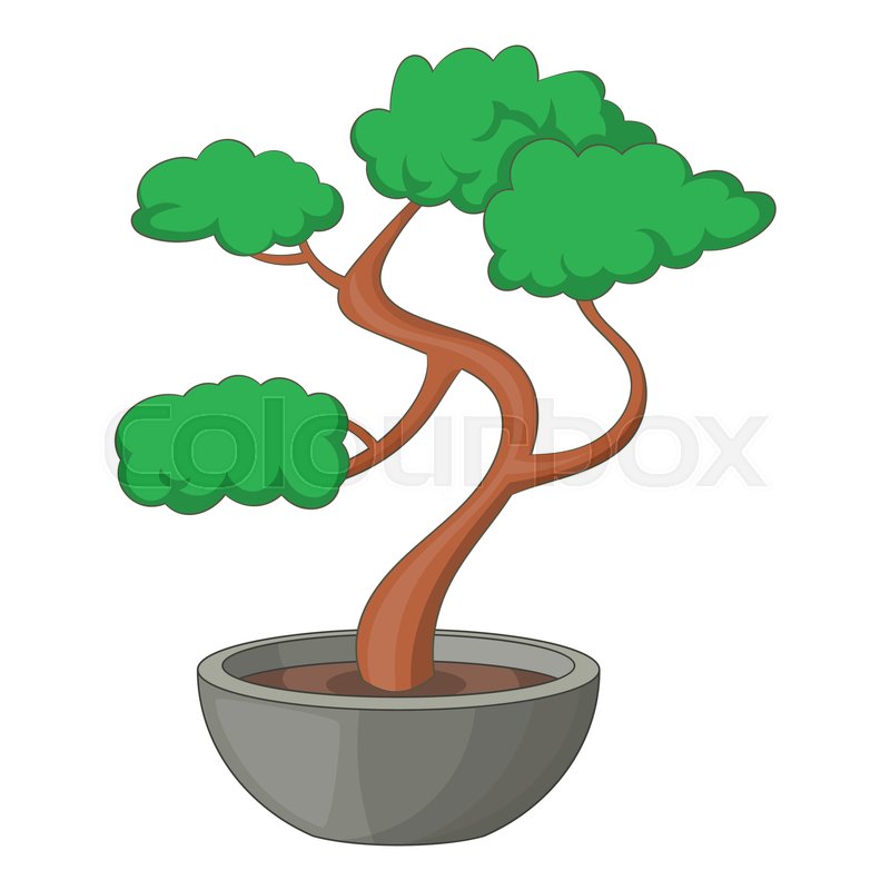 800x800 Bonsai Tree Icon Cartoon Illustration Stock Vector Colourbox