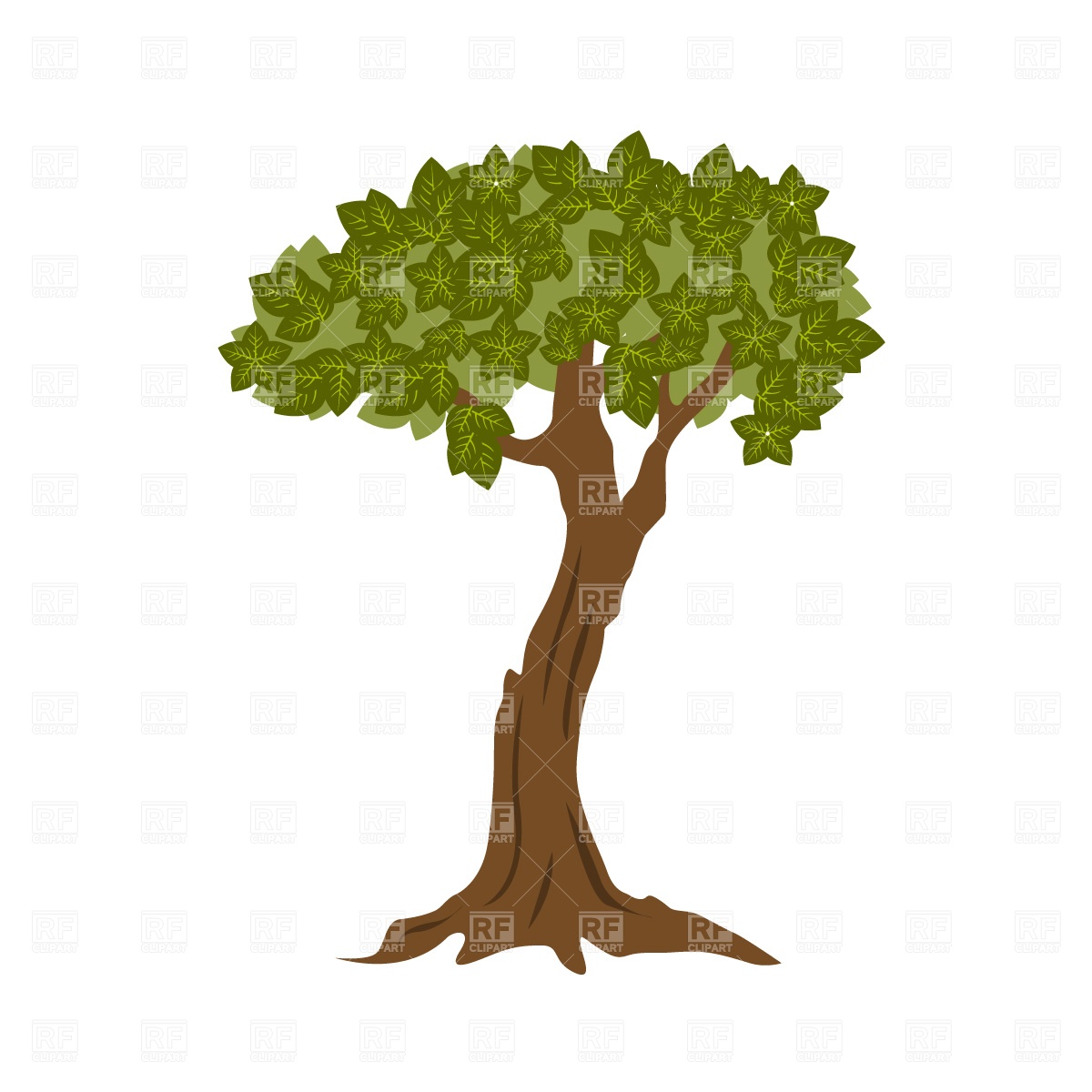 1200x1200 Foliage Bonsai Tree Vector Image Of Plants And Animals Prague