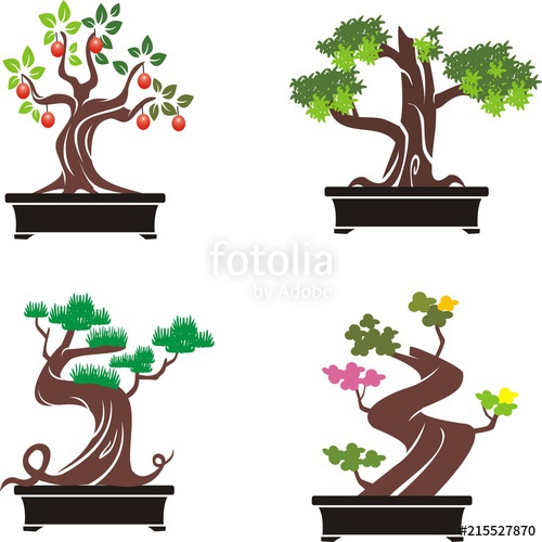 500x500 Set Of Bonsai Trees Vector Illustration Stock Image And Royalty