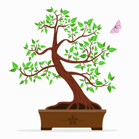 450x450 Vector Illustration Of Bonsai Tree On A White Background Royalty