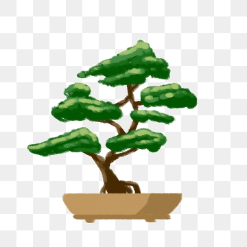Bonsai Tree Png, Vector, And Clipart With Transparent 360x360 Bonsai Tree Png, Vector, And Clipart With Transparent