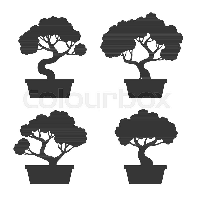 Bonsai Tree Silhouette Set On White Stock Vector Colourbox 800x800 Bonsai Tree Silhouette Set On White Stock Vector Colourbox