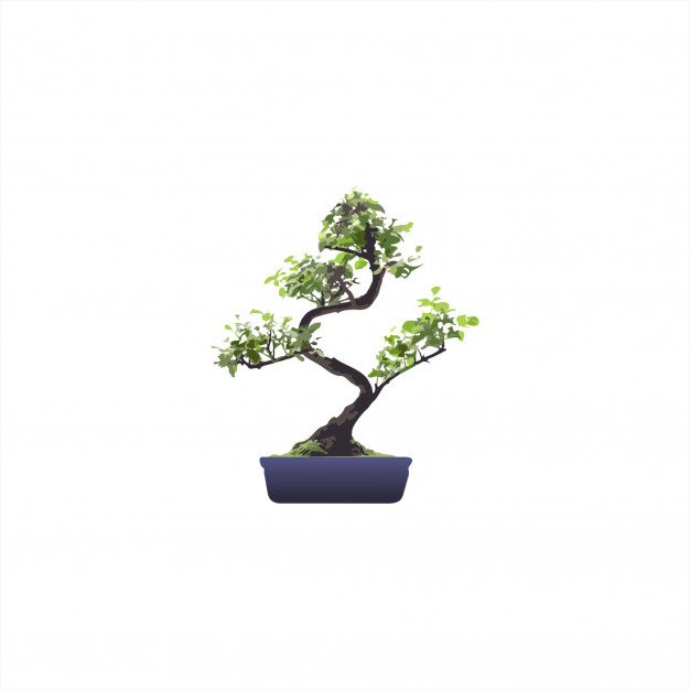 Bonsai Vector Premium Download 626x626 Bonsai Vector Premium Download