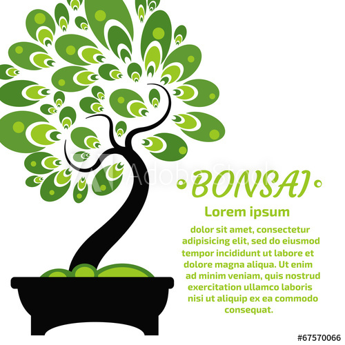 Bonsai Vector Background 500x500 Bonsai Vector Background