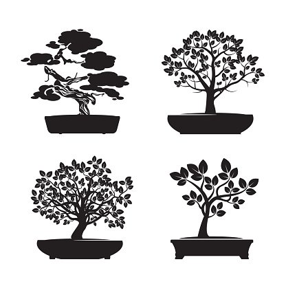 Black Shape Bonsai Vector Premium Clipart 416x416 Black Shape Bonsai Vector Premium Clipart
